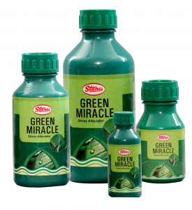 Green Miracle 
